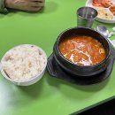 쭈꾸미가알고싶다고기가득별난비빔밥 | 임신 19주차)역류성 식도염/비빔밥 중독/성심당 임산부 프리패스