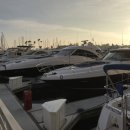 SEA 모터스 이미지