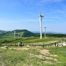 삼양상가 | 평창 꼭 가볼만한 곳 대관령 삼양라운드힐 ㅣ 귀여운 보더콜리 양몰이공연 필수!