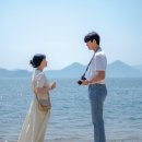 바닐라씨 주식회사