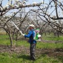우경농장 이미지