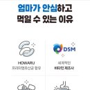 초콜릿키즈 이미지