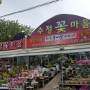 수정꽃마을