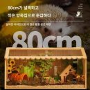 거북조경 이미지