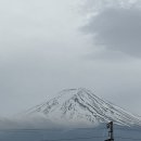일본 롤러코스터 후지큐하이랜드 주변 숙소 HOTEL MYSTAYS Fuji Onsen Resort 후기