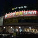 수영숯불갈매기 이미지