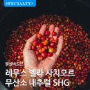 [바소노트] 3월 동아리 모임후기