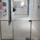 서울은내과동물병원 | 🐶 서울은내과동물병원 진료 후기 / 진돗개 병원 추천 🏥