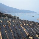 백마상회 이미지