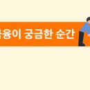 머니토스 이미지