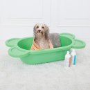 댕댕이애견 이미지