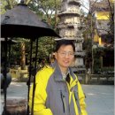 비알엠(BRM)연구소 국제건강가족동호회 | 장기적이고 지속적인 대응이 필요한 암