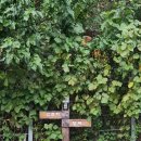 곰치농장 이미지