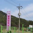 발라당눕스 이미지