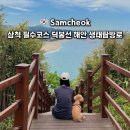 정아네펜션1 | "53년 만에 열린 바다길”… 삼척에서 꼭 가봐야 할 숨은 산책 코스
