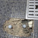 비비큐 부산연산파크시티점 이미지