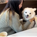 메종드 로이 이미지