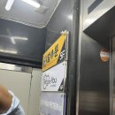 (주)디자인포유 | 서울반지공방 혜화 데이트 링포유 반지공방 대학로점 다녀온 솔직 후기 종로커플링 추천