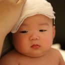 대한민국만세 - 안성시 | 대한민국만세