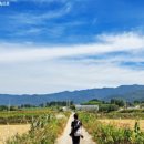 남원공원민박 이미지