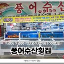 풍어수산횟집