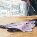 대연일식 이미지