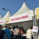 사오마트 | 충북 꽃놀이 놀거리 먹거리 볼거리 가득한 청주도시농업페스티벌