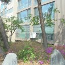 월계천길 이미지