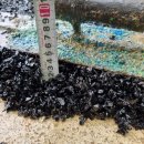 글로벌키즈어린이집 이미지