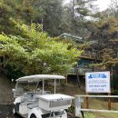 나무숲펜션 이미지