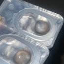 거리실 | [렌시스] 도니아 축고정 렌즈 썬브라운 리얼후기- 사진빨 잘 받는 브라운 렌즈추천