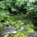 덕풍계곡마을 이미지