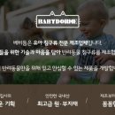 베비돔