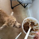 아지멍 | 천안 강아지 수제간식 아지멍