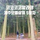제주 보름살이-5) 제주 가족사진찍기! | 절물자연휴양림 | 제주동화마을 도토리숲, 코리코카페 후기!