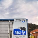 안마도1박2일 나홀로 섬여행 사슴사진찍어러 갔는데 막상보니 무서움 이미지