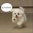 히로미 네일2 | 이건 7월 일기 후편입니다 ~! (P.S. 내 생일🎂🩷)