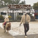 제주도 가성비 좋은 가족숙소 로그밸리펜션 아이랑 방문해서 무료승마체험후기