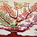 패밀리트리(family tree) 이미지