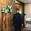 초록나무 이미지