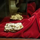 2019-주119 이미지