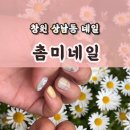 촘미네일