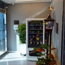 그로잉독 이미지