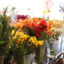 석봉축산 이미지