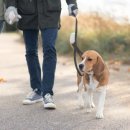 스타동물의료센터 이미지