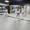 경찰학원에서의 체험: 진짜 경찰의 길 - 무도 단증...할까? 태권도 성인반 후기: 나의 변화와 성장