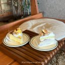 돌우물공원2 | 속초 오션뷰 카페/ cafe COEL(애견동반)
