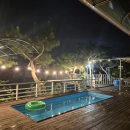 개멍물멍 이미지