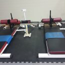 경희인성체육관 이미지