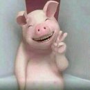 사오정식당 Daum카페
